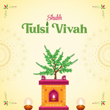 Tulsi Vivah vidhi