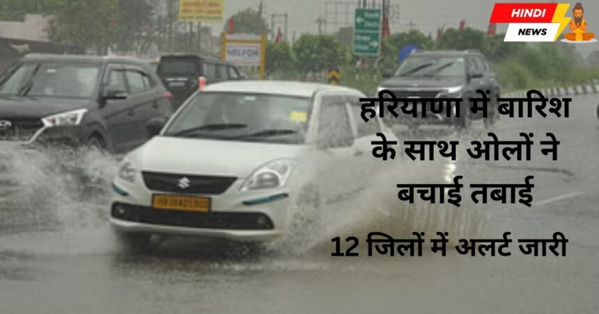 Haryana Weather News